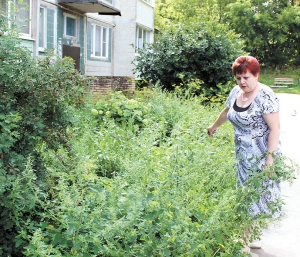 Утонули в зелени