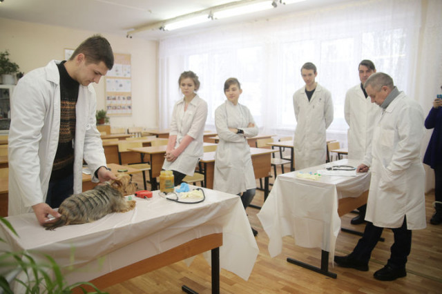 В «Холмогорке» прошел этап олимпиады профессионального мастерства