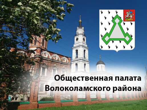 Прием документов от кандидатов в Общественную палату Волоколамского района начнётся 1 марта