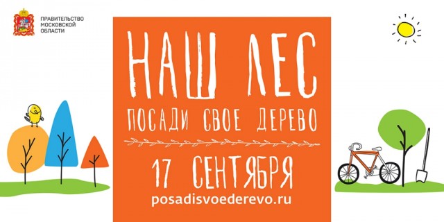 Посади своё дерево