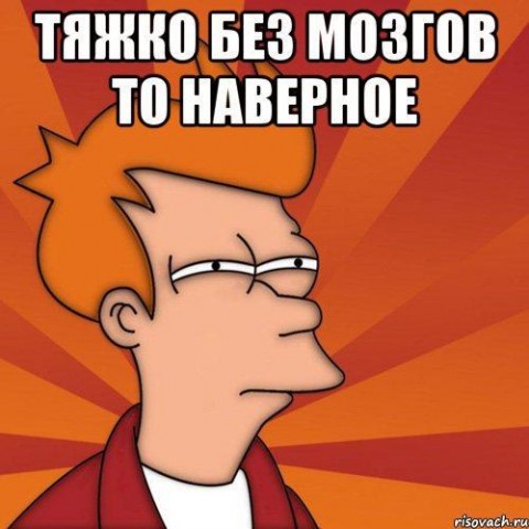 Председатель ТИК Камсков, как живёшь ты без мозгов