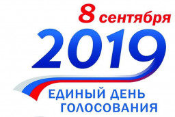 Выборы в Волоколамске завершились с итоговой явкой в 22%