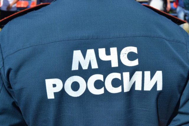 В лесу возле деревни Юрьево Спасского поселения потерялся мальчик