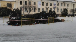 День Бобра