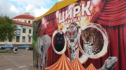 Цирк вернулся за забытыми клоунами