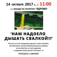Митинг в Ядрово