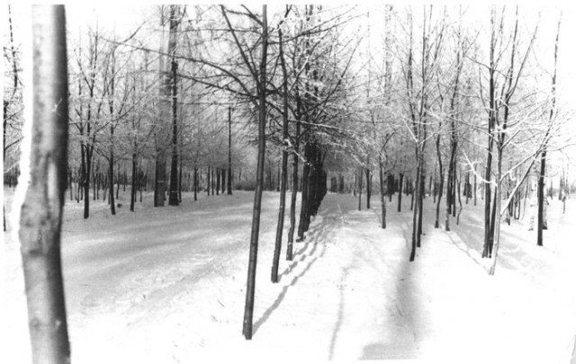 Городской парк