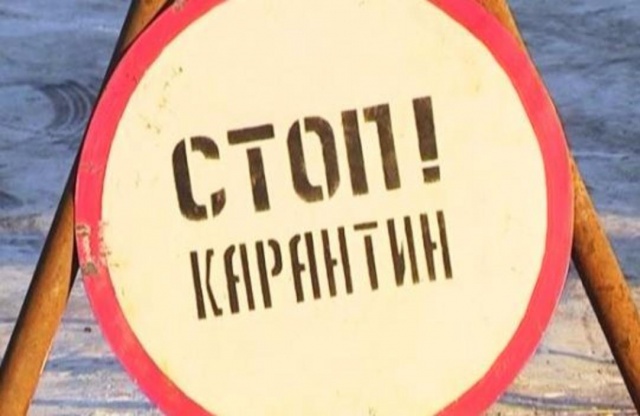 В лотошинской деревне Ошенино введён карантин из-за бешенства
