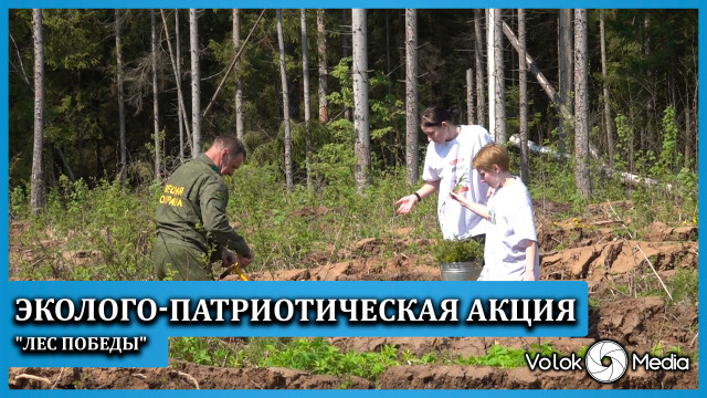 Эколого-патриотическая акция "Лес Победы"