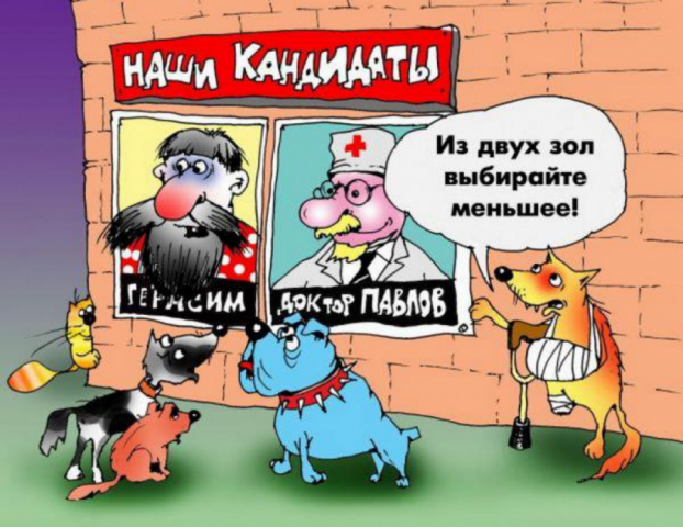 Выбора нам не оставили, но из того что есть, и если уж решили голосовать, я бы сделал так!