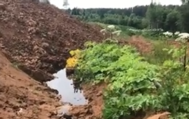 Активисты во главе с Ждановым осмотрели полигон по периметру