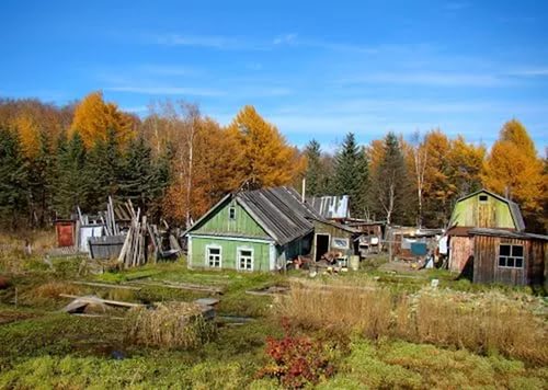 Жить рядом с лесом с 1 марта станет накладнее
