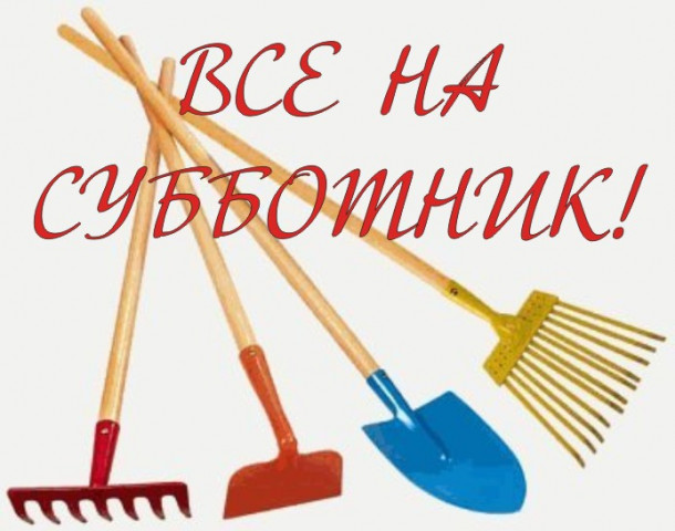 Наведём чистоту в городе