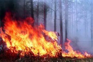 В Волоколамском районе наступает пожароопасный период