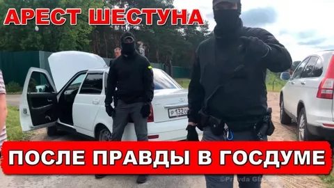 Арест Александра Шестуна – приговор политической системе России