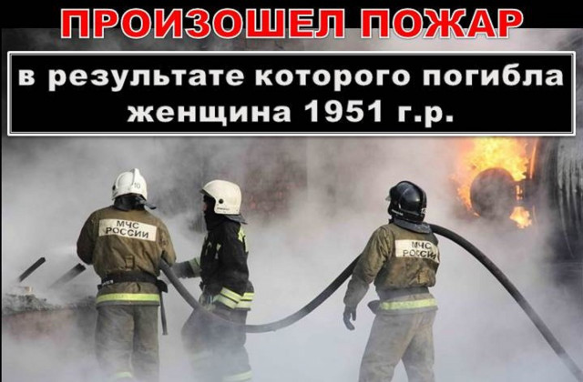 В садовом товариществе возле деревни Васильевское в огне погибла женщина