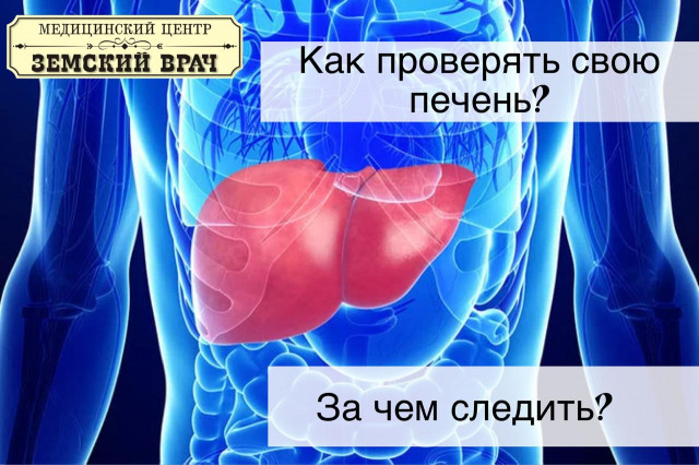 Как правильно проверить свою печень и за чем нужно следить