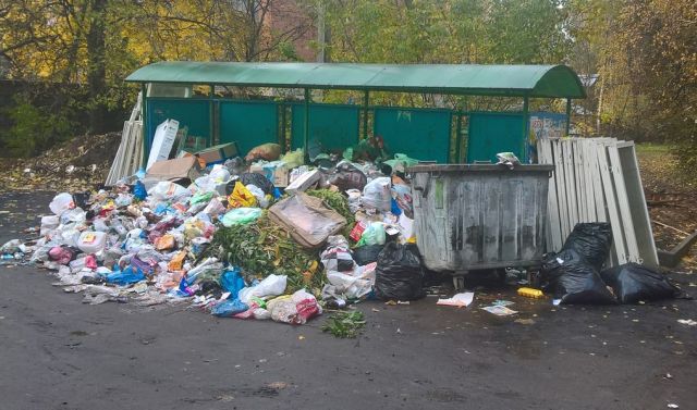 Подмосковье потонуло в мусорных свалках