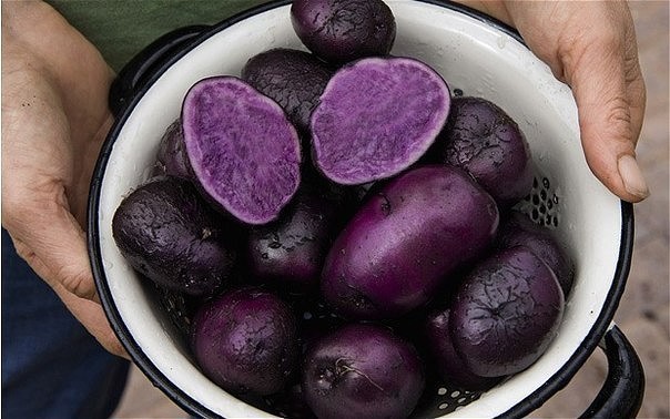 Диетолог назвал три продукта для дешевого ЗОЖ
