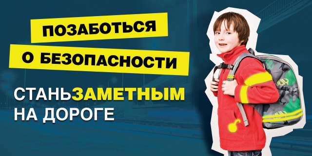 В Московской области стартовала предновогодняя акция «Стань заметней на дороге»