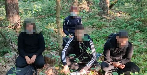 Раскрыты детали спецоперации против ЕС под руководством сына Лукашенко