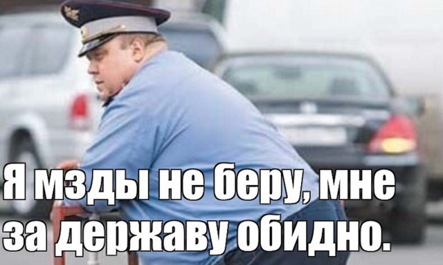 Не в мента корм