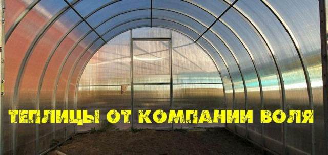 Теплицы от компании ВОЛЯ