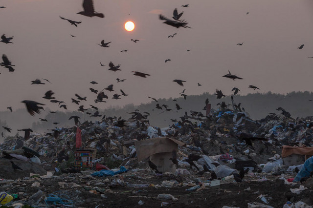Официальные данные по замерам воздуха 23 февраля