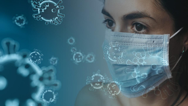 Тест на антитела к COVID-19: какой анализ лучше сдавать