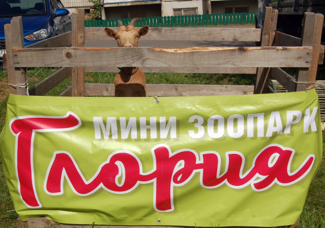 Субботний отдых в городском парке