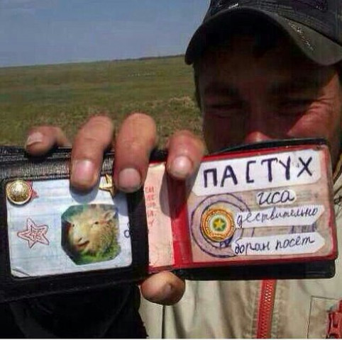 ​ПОД ПЛИНТУСОМ