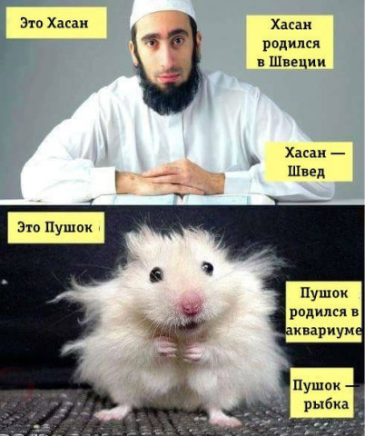 СЛЕПАЯ, ГЛУХАЯ и ЛЮБИМАЯ ЛОГИКА НЕКОМПЕТЕНТНОСТИ