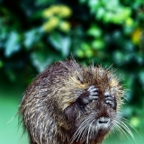 Ничего не вижу