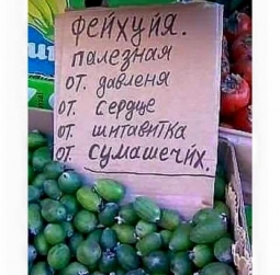 Юмор,да и только!
