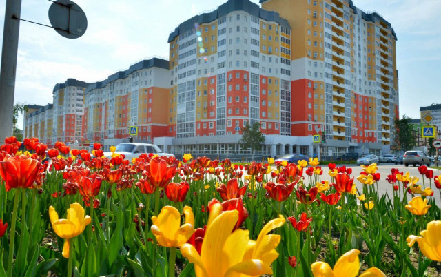 Мой город