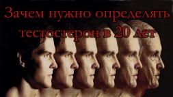 Зачем нужно определить тестостерон в 20 лет