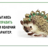 Смешные фразы