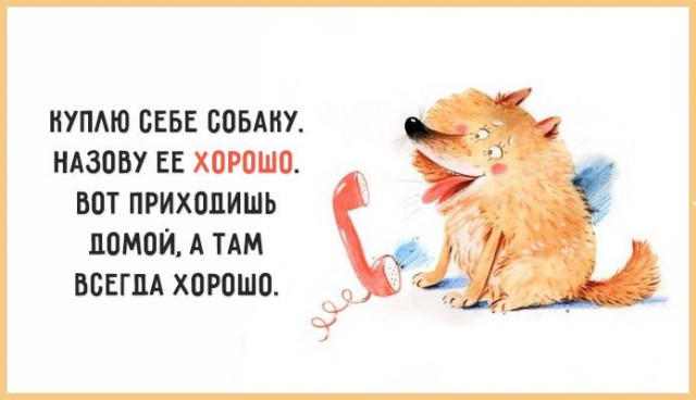 Фото с юмором
