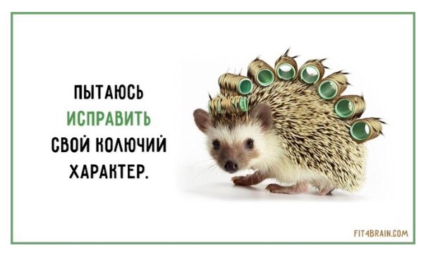 Смешные фразы