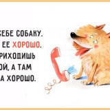 Фото с юмором