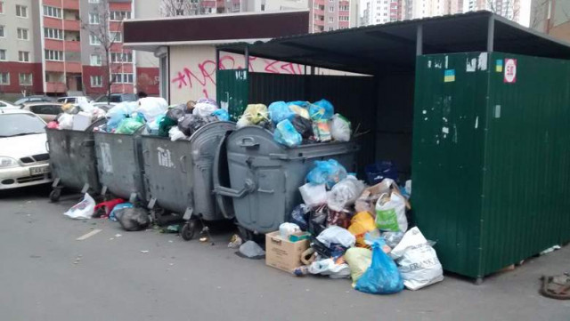 Жители Подмосковья пожаловались Владимиру Путину на своего главу и мусорную реформу