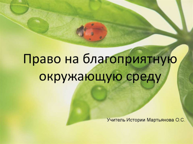 НАМ ЗДЕСЬ ЖИТЬ !