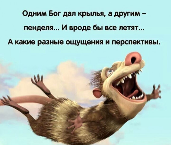 Э-э-эх, « залётные»…