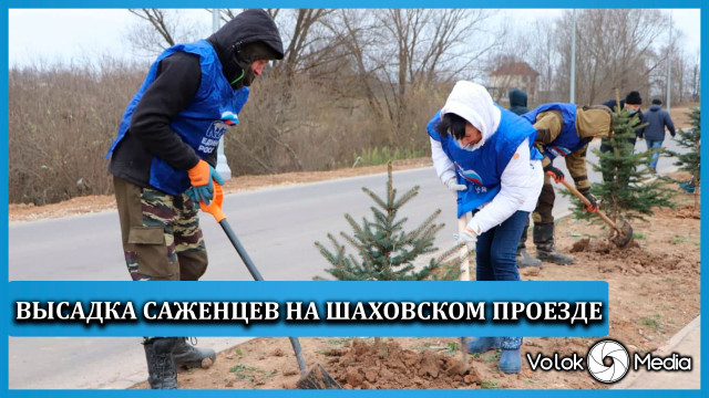 Высадка саженцев на Шаховском проезде