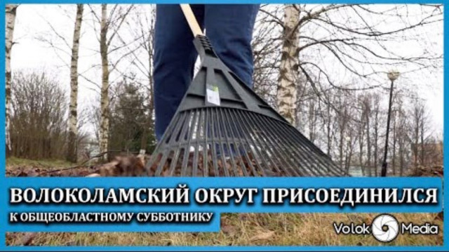 Волоколамский округ присоединился к Общеобластному субботнику
